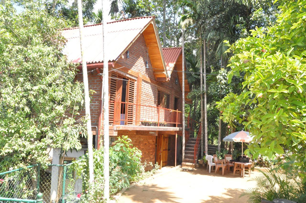 Dew Lee Homestay Ella Zewnętrze zdjęcie